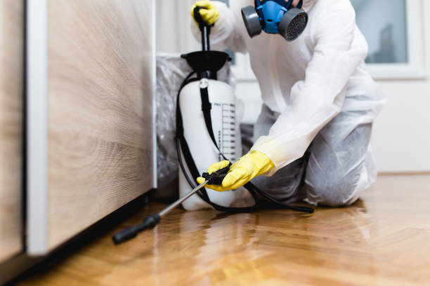 Best Wildlife Control Services  in Nampa, ID