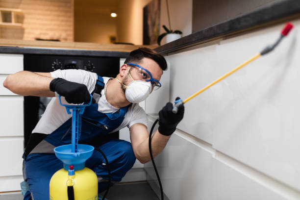 Best Pest Prevention Services  in Nampa, ID