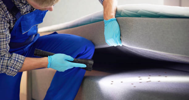 Best Mosquito Control Services  in Nampa, ID