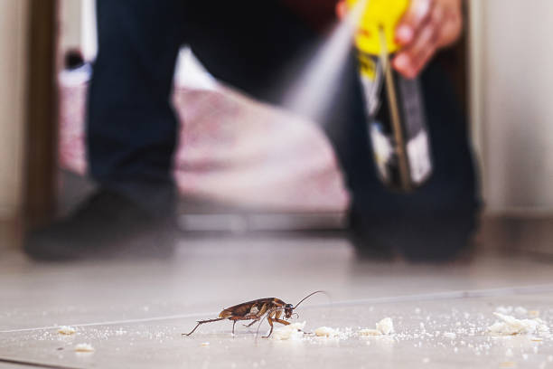 Best Wasp Removal Services  in Nampa, ID