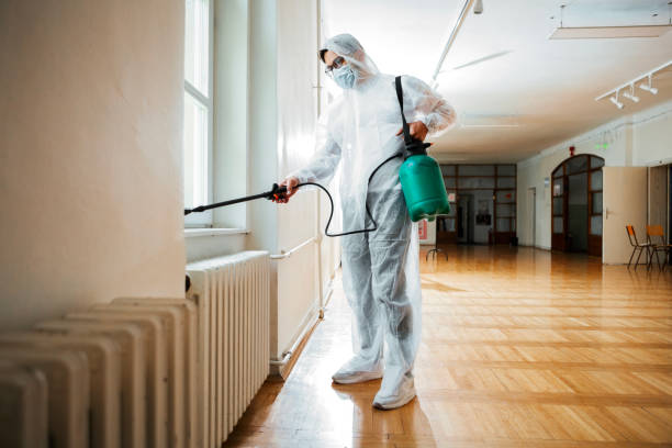 Best Termite Control Services  in Nampa, ID