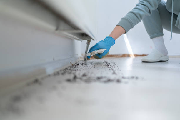 Best Best Pest Control Companies  in Nampa, ID