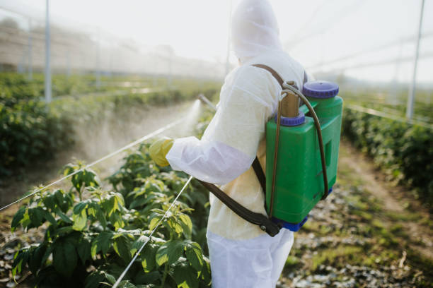  Nampa, ID Pest Control Pros